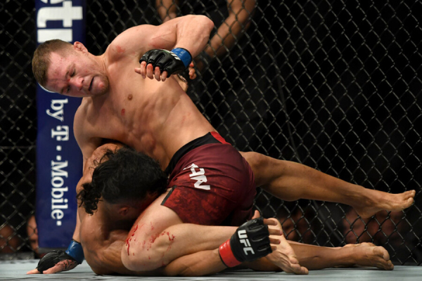 Пётр Ян превратил лицо соперника в кровавое месиво. Вот это заявка на пояс UFC!